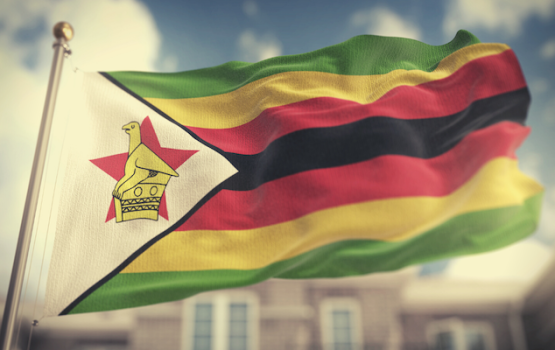 2021 Heroes Day Message from the United Zimbabwe Alliance