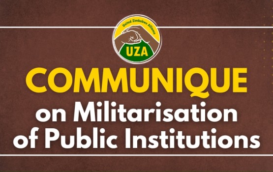 The Militarisation of Public Institutions 