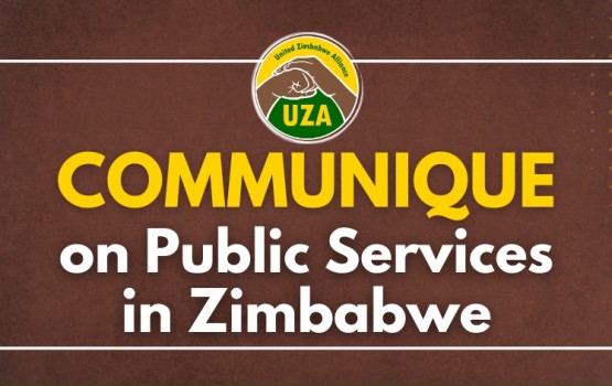 Public Service in Zimbabwe