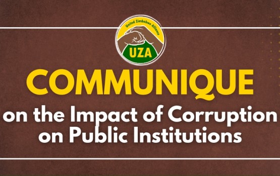 The Impact of Corruption on Public Institutions