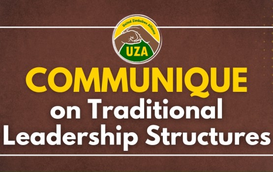 Traditional Leadership Structures