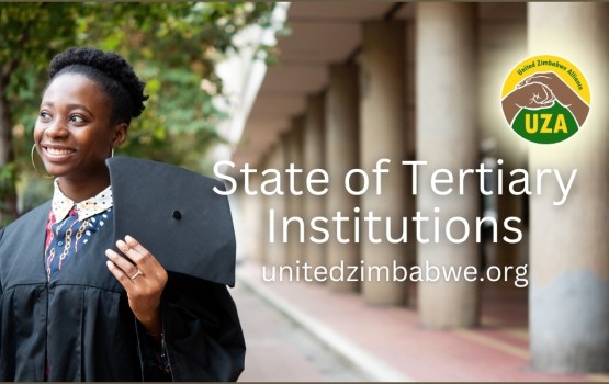 The State of Tertiary Education Institutions in Zimbabwe